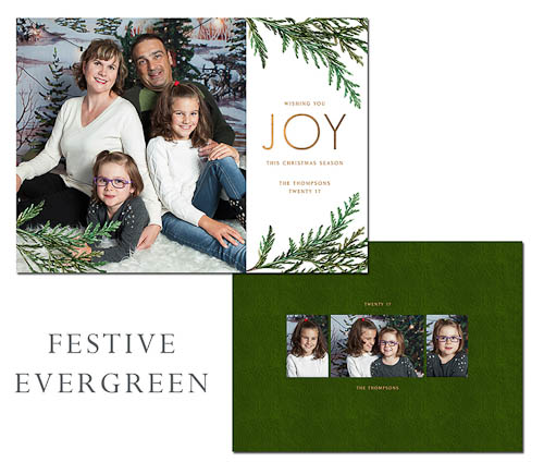 Festive Evergreen - Christmas Card